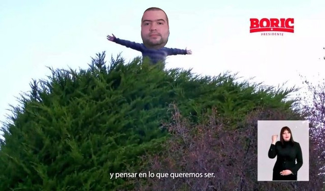 gordo.jpg