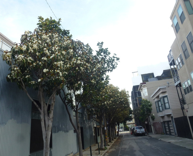 P1090568