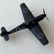 IMG-3231