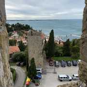IMG-2322