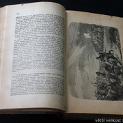 IMG-7129