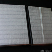 IMG-6857