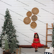 IMG-4645