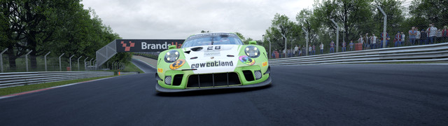 COWCOTLAND-Porsche-991-II-GT3-R-1