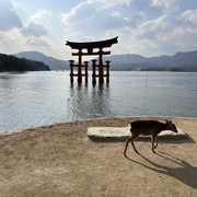 IMG-2713
