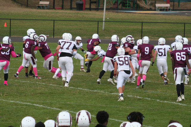 IMG-0164.jpg