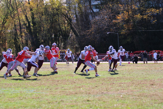 IMG-1167.jpg