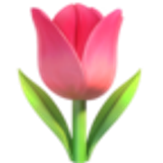 tulip-1f337