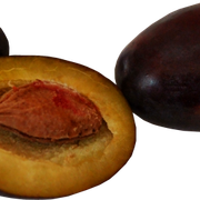 Nuts2