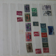 IMG-6960