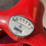 IMG-4419