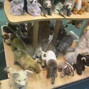 IMG-3187