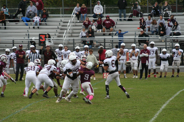 IMG-0307.jpg