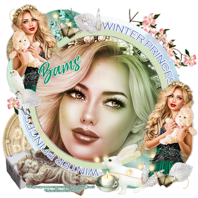 bams-tag-VMprincess.png