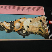 IMG-9383