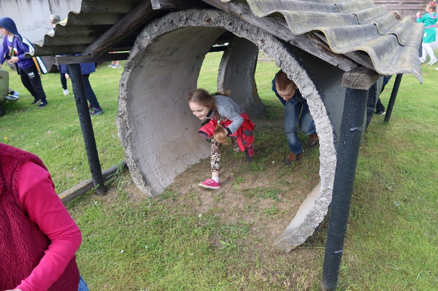 IMG-3545