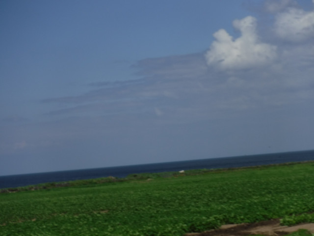DSCF7941.jpg