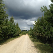IMG-4042