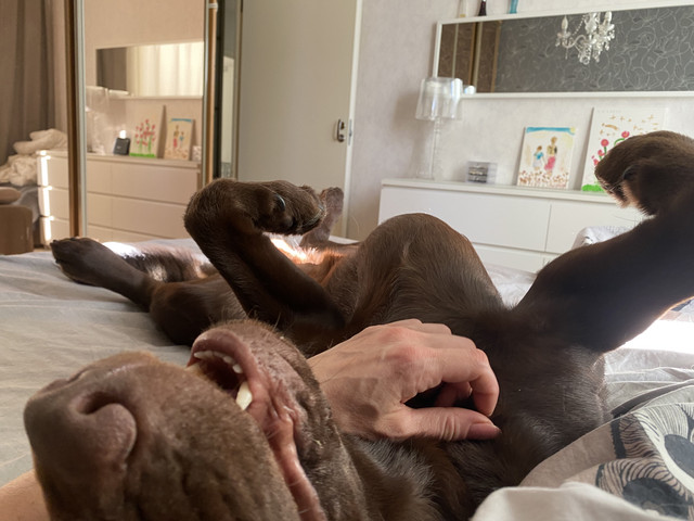 E88-C0-D52-337-A-4141-9653-65-DC6-E023-D