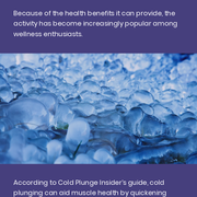 Health Benefits Of Cold Plunges: Improving Muscle Recovery After Intense Workouts.png