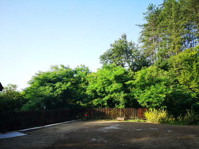 IMG-20230722-080216