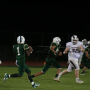 IMG-6714