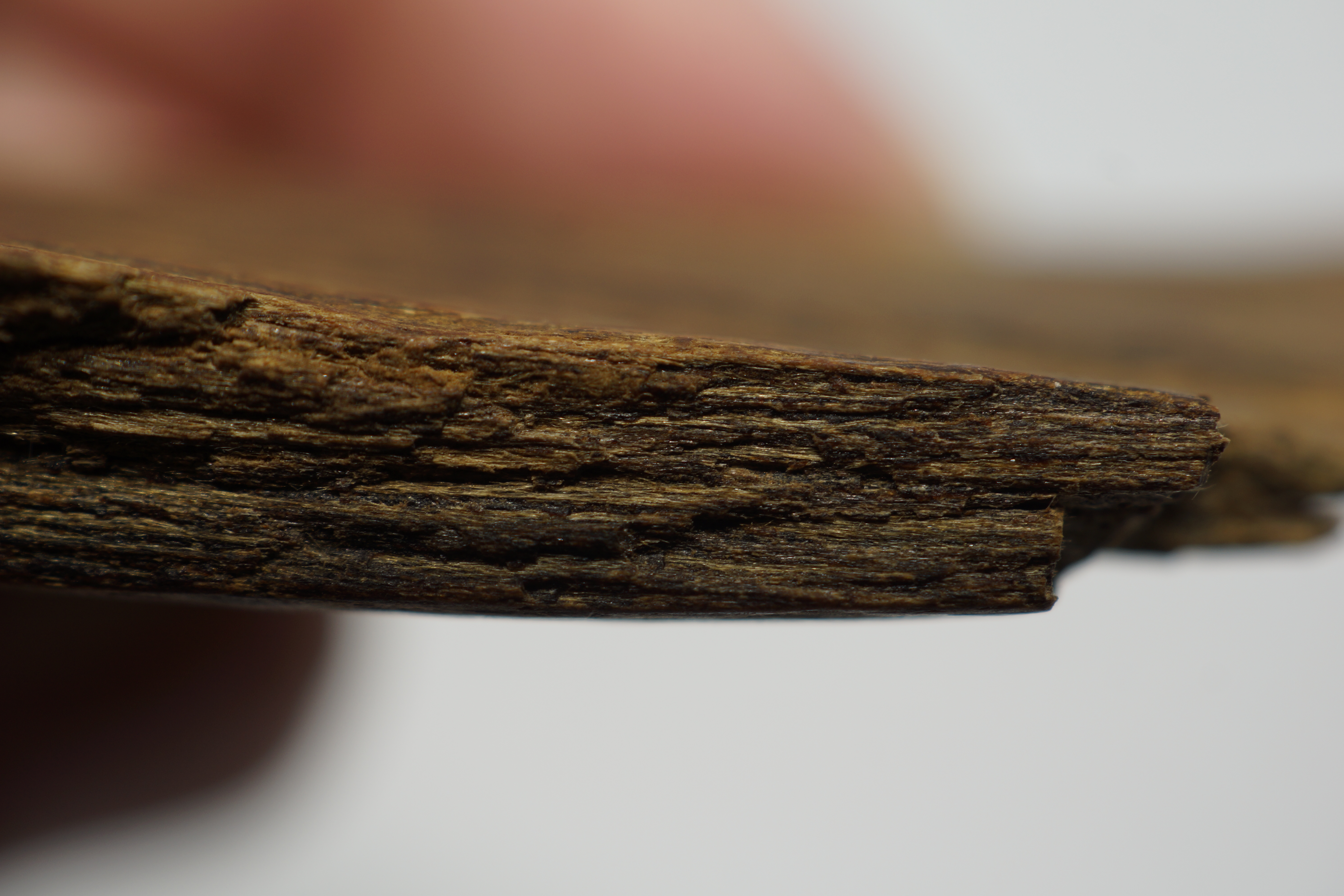 [Ouddict.com] Oud Photos