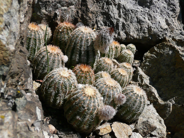 P1230925