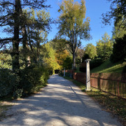 IMG-3005