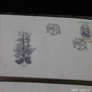 IMG-2696