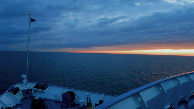IMG-0596.jpg