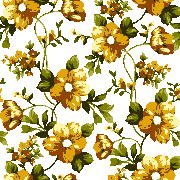 shutterstock 2476687651 copy