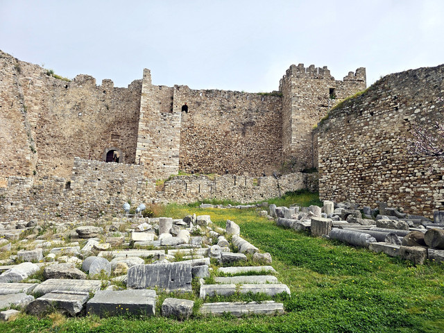 63.jpg