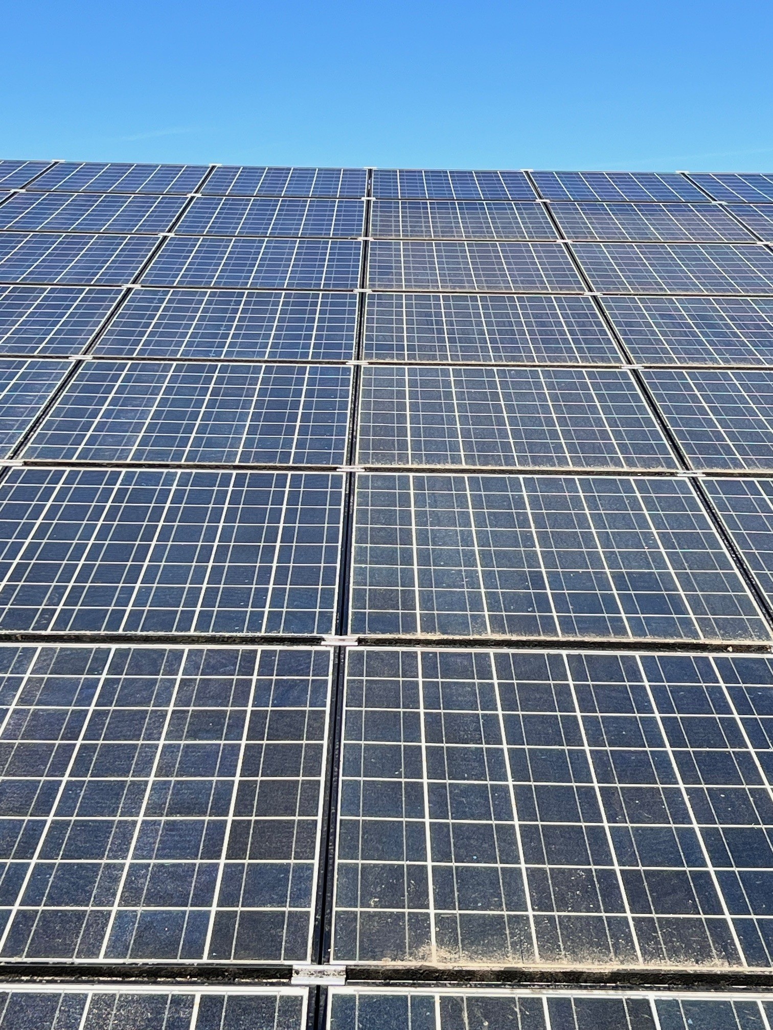 PV-Module mit spiegelglatter Oberfläche nach Reinigung – oben sauberer Bereich, unten noch Originalverschmutzung sichtbar