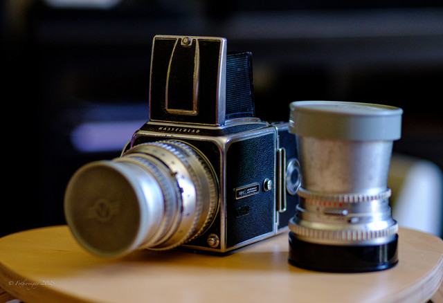 DSF1875