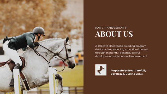 Horse-Rider-Club-3.png?utm_source=chatgpt.com