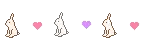 bunny.gif