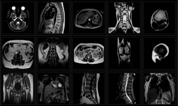 Medical Constructor - 8
