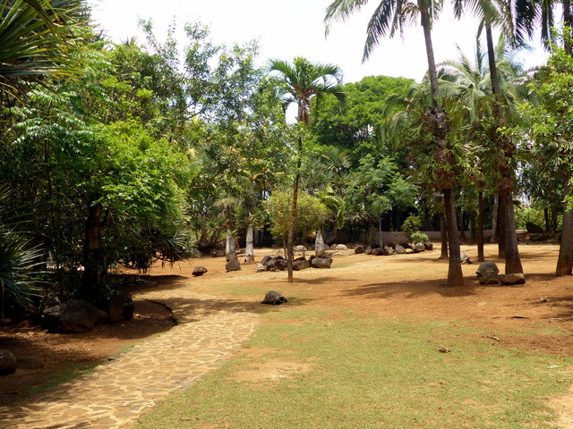85.jpg