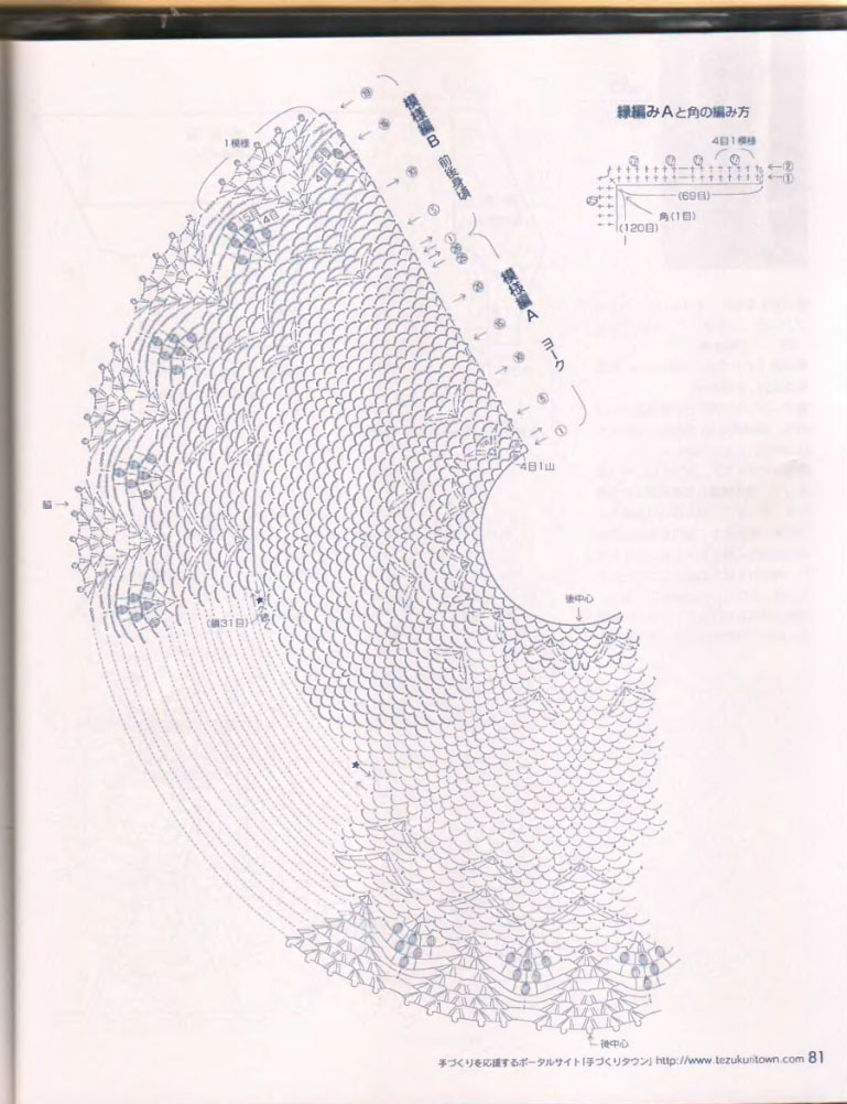 81