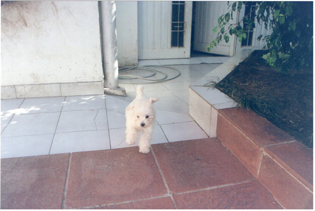 img002.jpg
