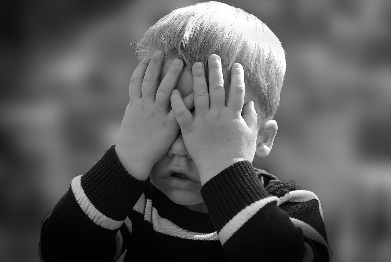 Enterprise architecture for Hide My Email