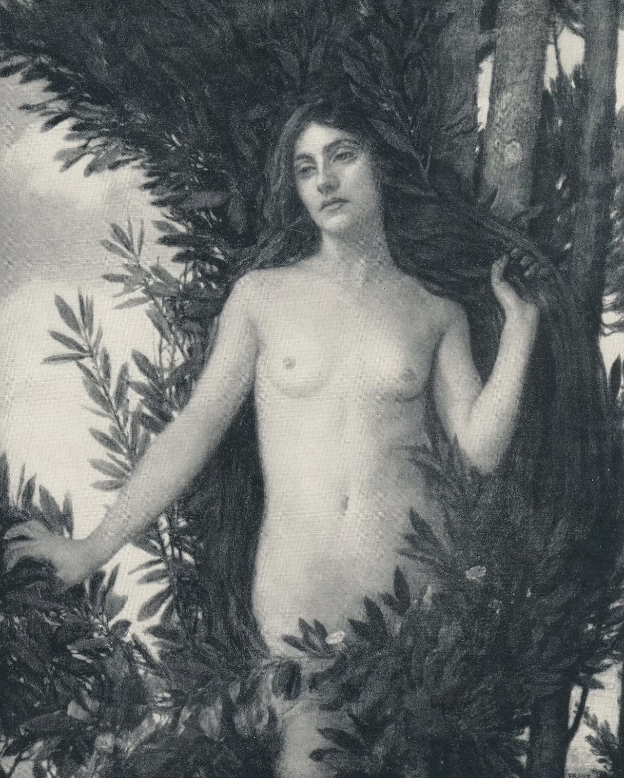 https://i.ibb.co/q3YrkGL3/1910.jpg