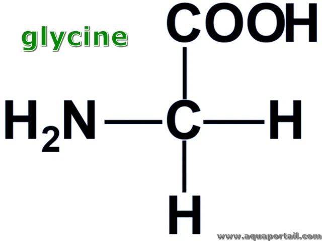 glycine
