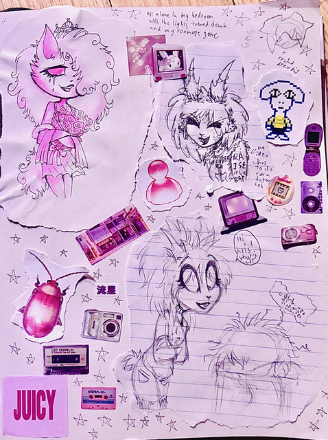 IMG 9986