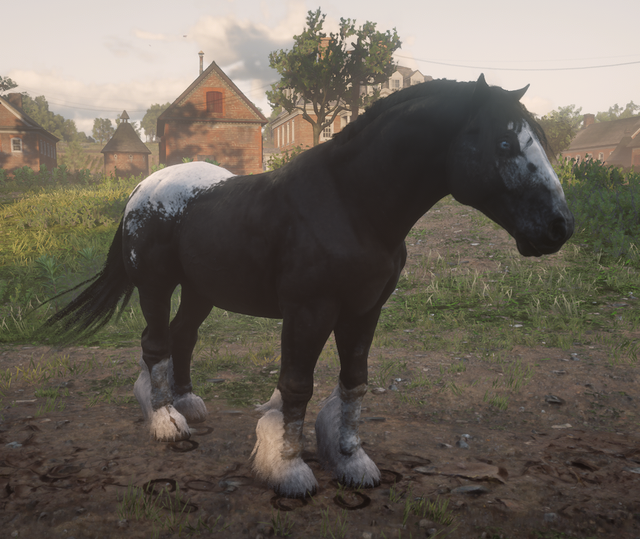 ebony.png