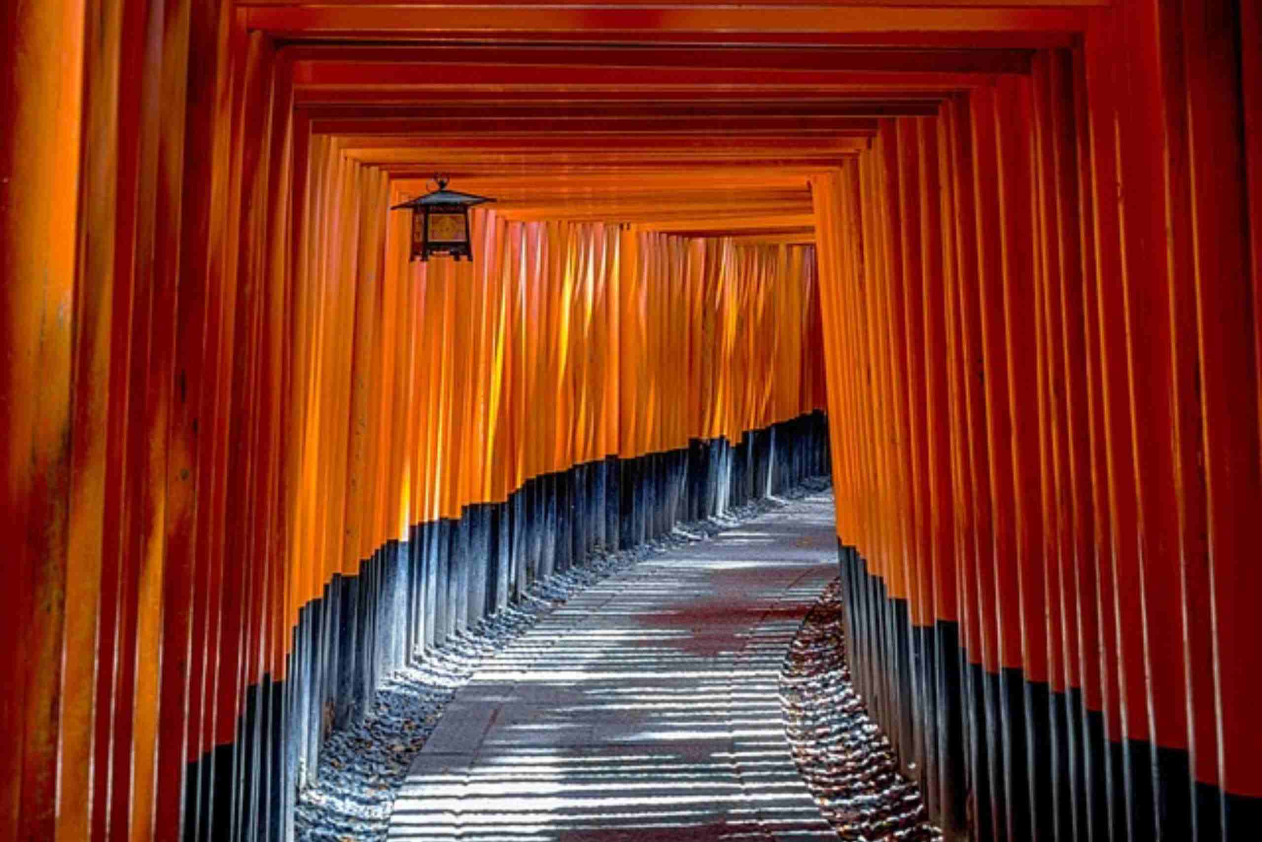 An image showing the vermilion torii gates at Fushimi Inari Shrine, Tokyo.