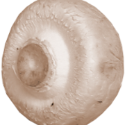 08-598226