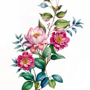 08