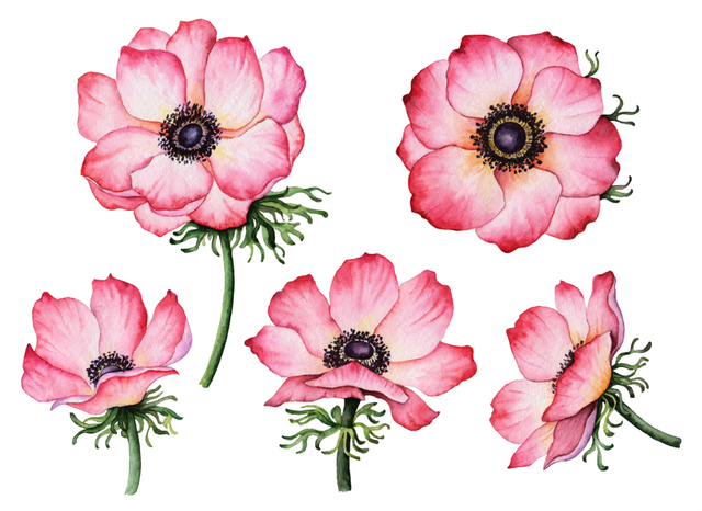 3613609f3a.png